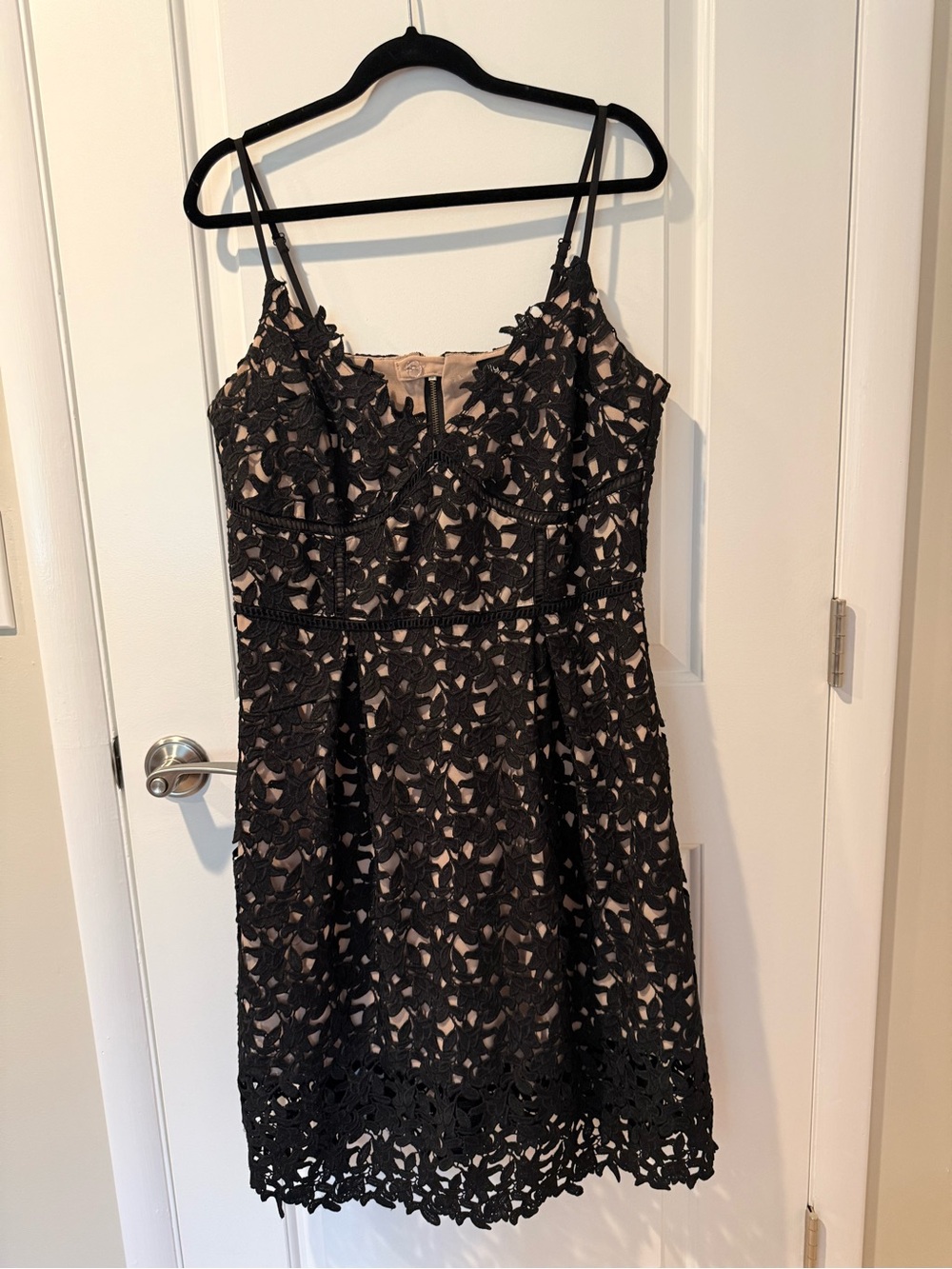 City Chic Black Lace Overlay Dress with Nude Lining